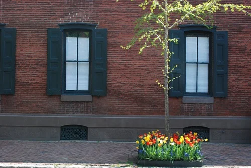 Tuesday's Terrace: A streetside box of spring color in Philadelphia