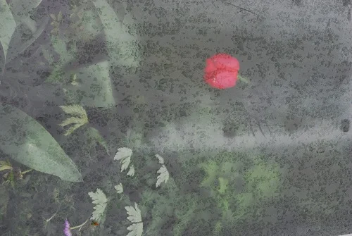 "And the day came when the risk to remain...."