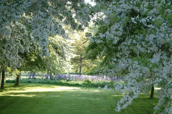 5-10-5: Gina Price of Pettifers Garden