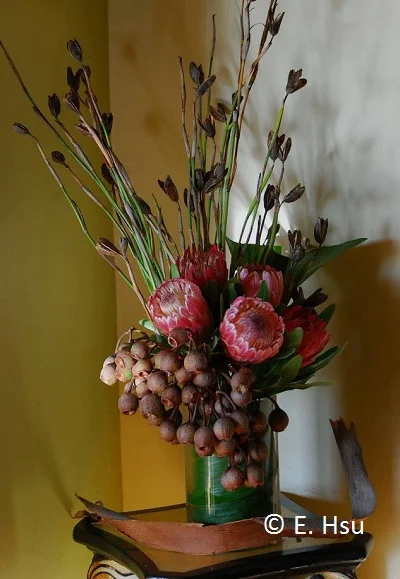 Floral Fridays: Antipodean Arrangement