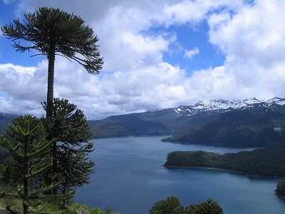 5-10-5: Matthew Pottage, Curator of RHS Wisley Garden