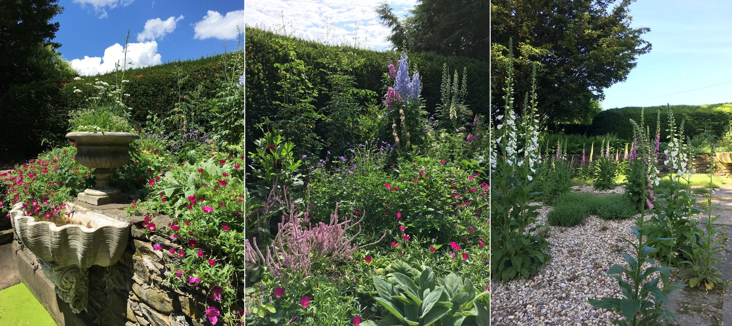 Client_Garden_Collage