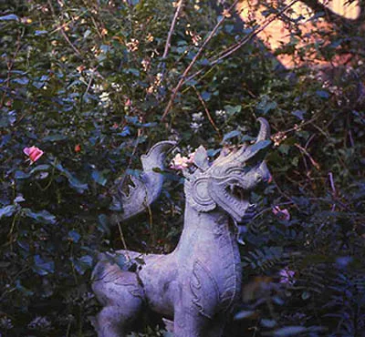 Henry Mitchell on gardening