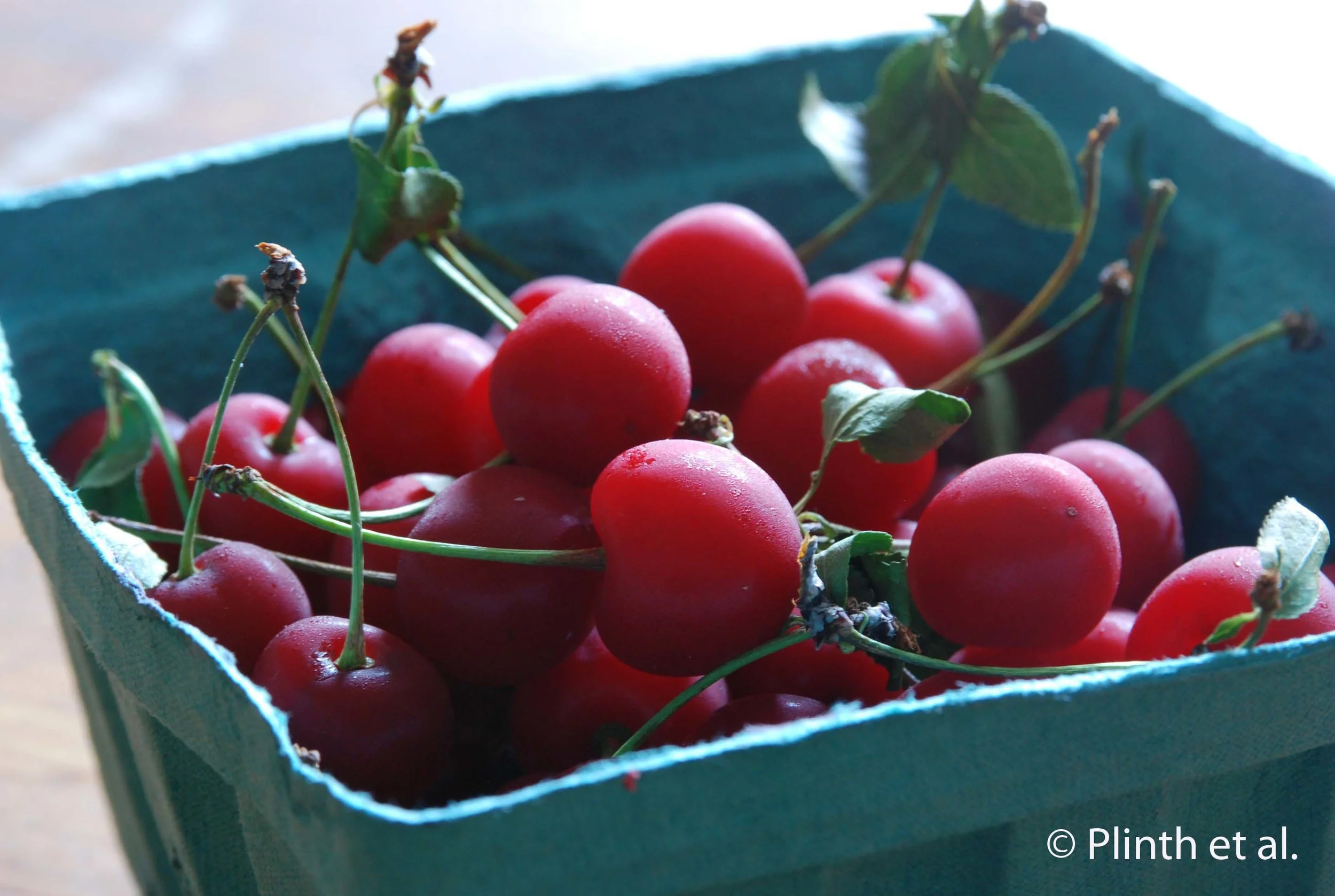 Sour Cherries