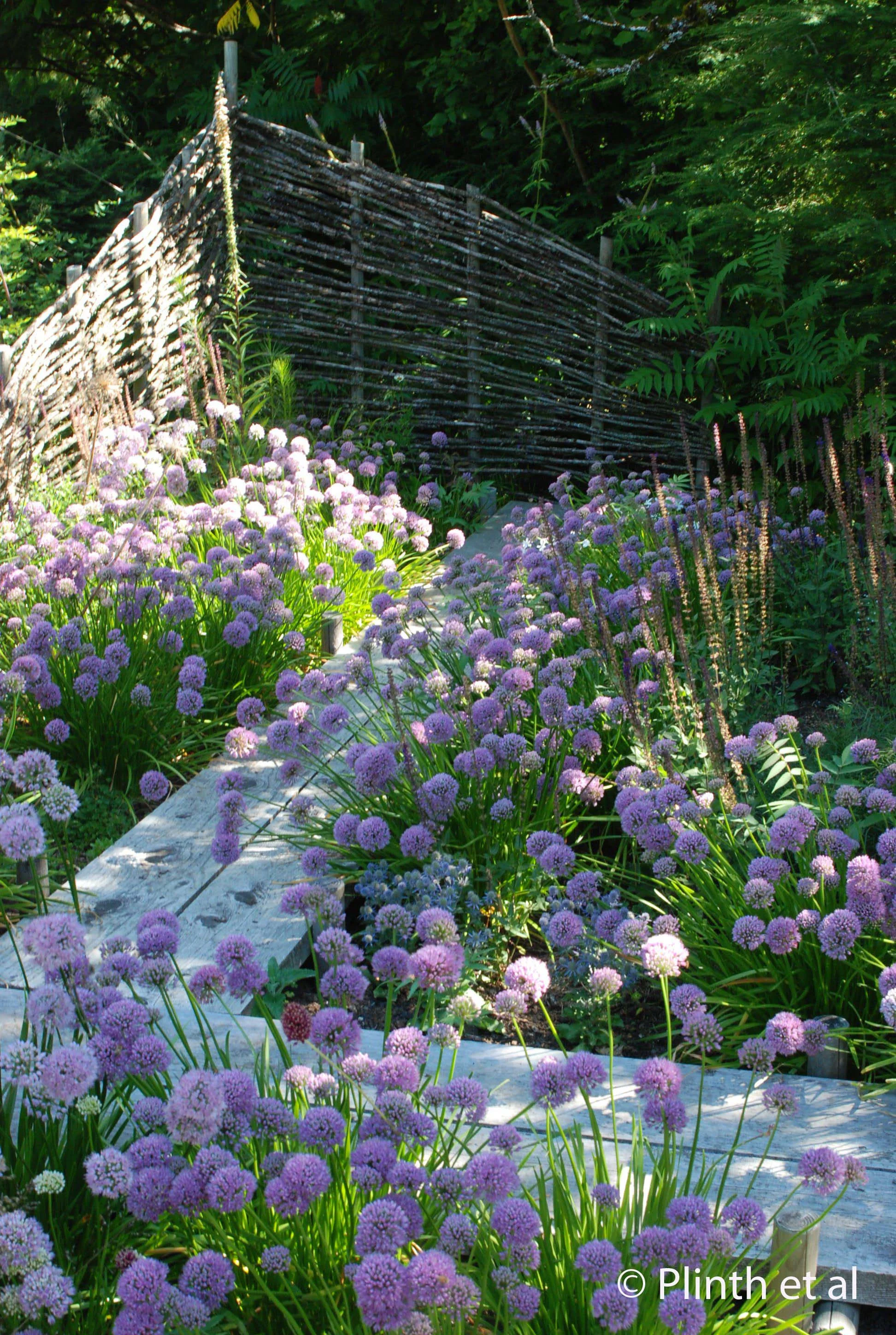 Free Spirit Nursery and Garden