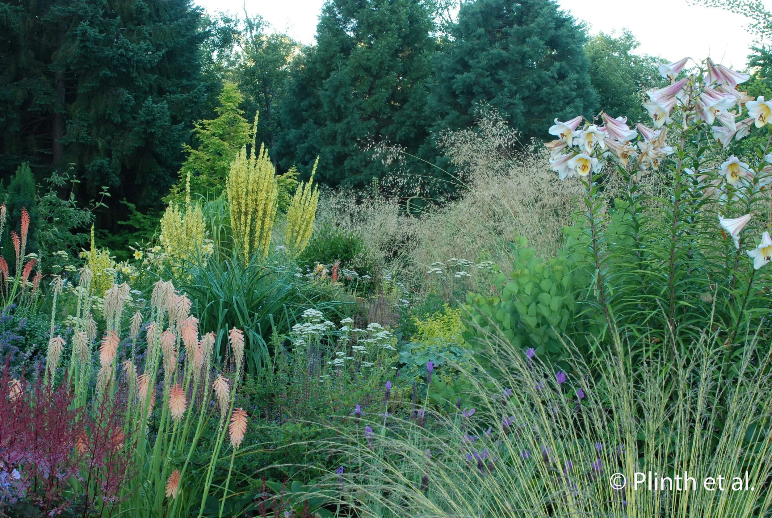 Northwest Perennial Alliance's Perennial Border at Bellevue Botanical Garden
