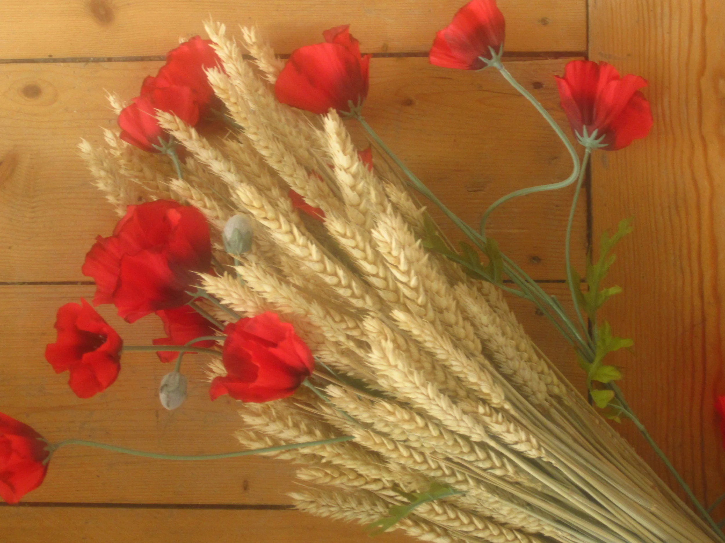 London 2012, a gardening experience