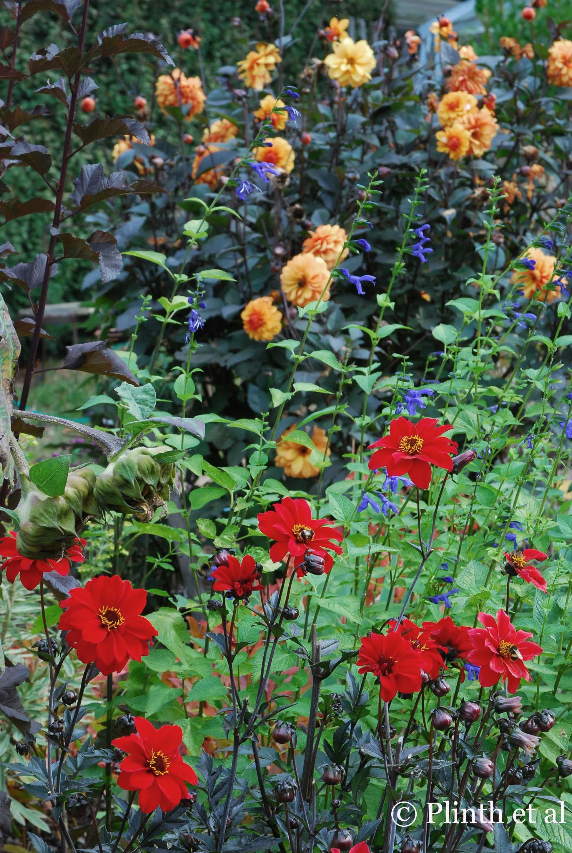 Stoking the Fall Fire