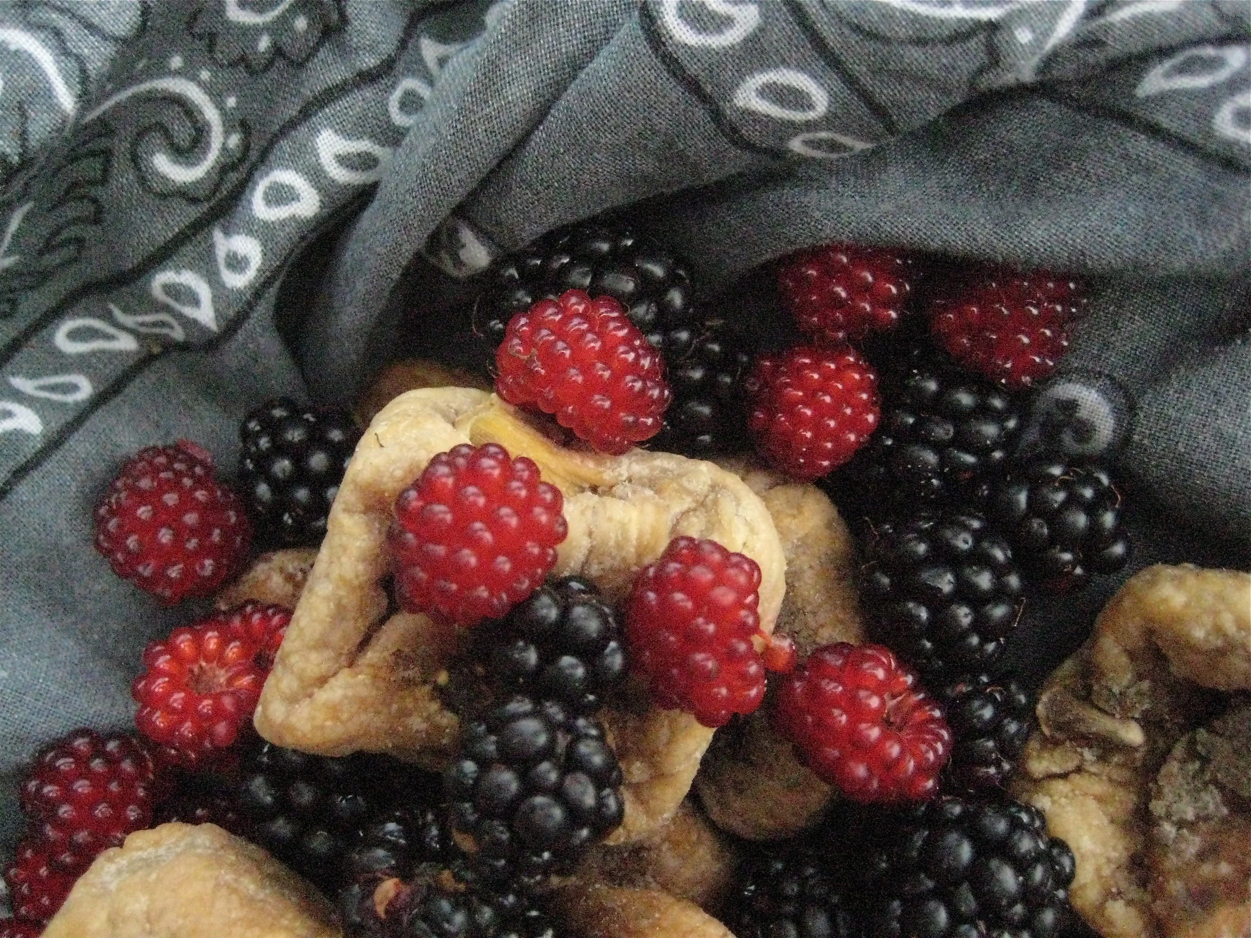 Francois de la Rochefocauld