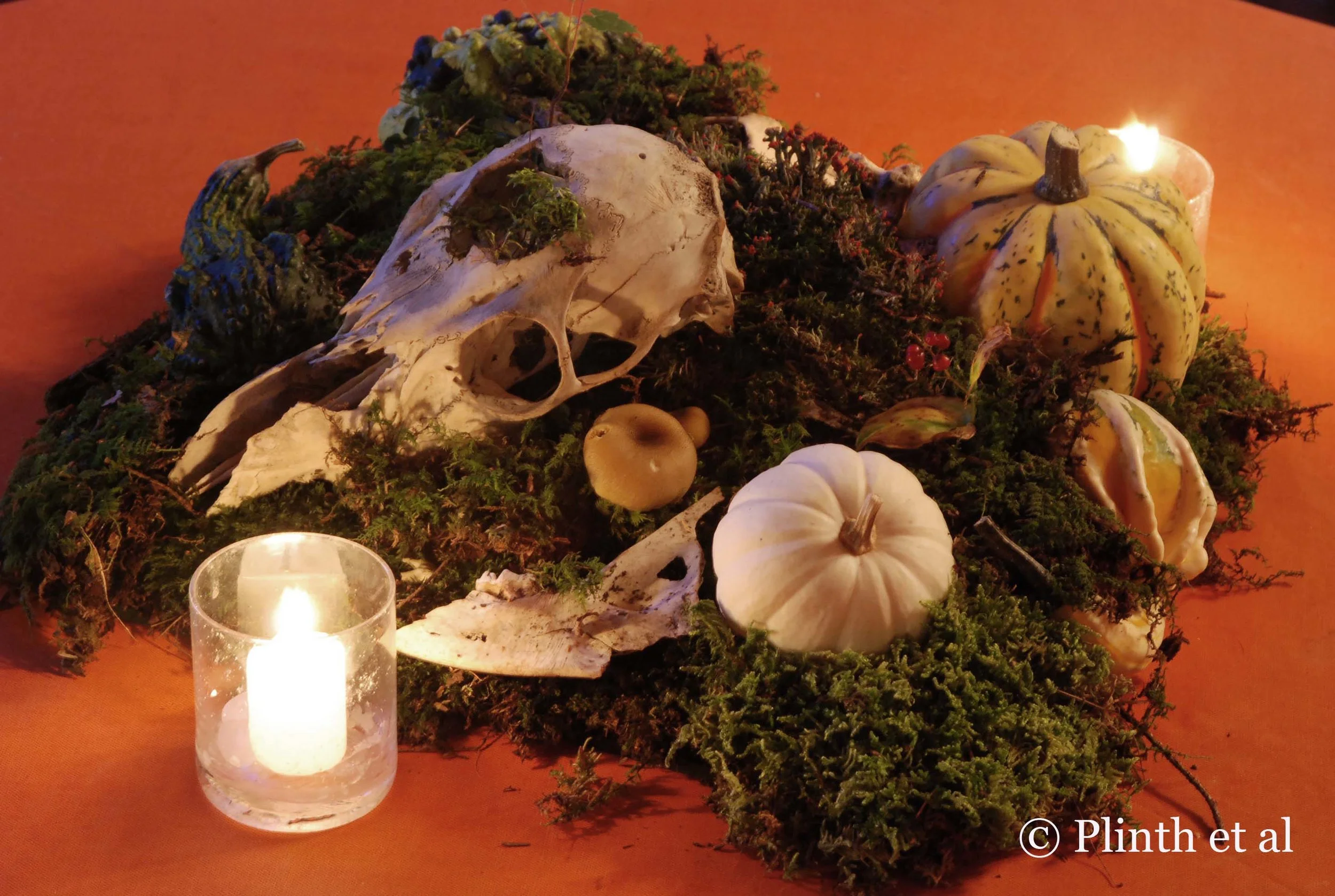 Halloween Tableau