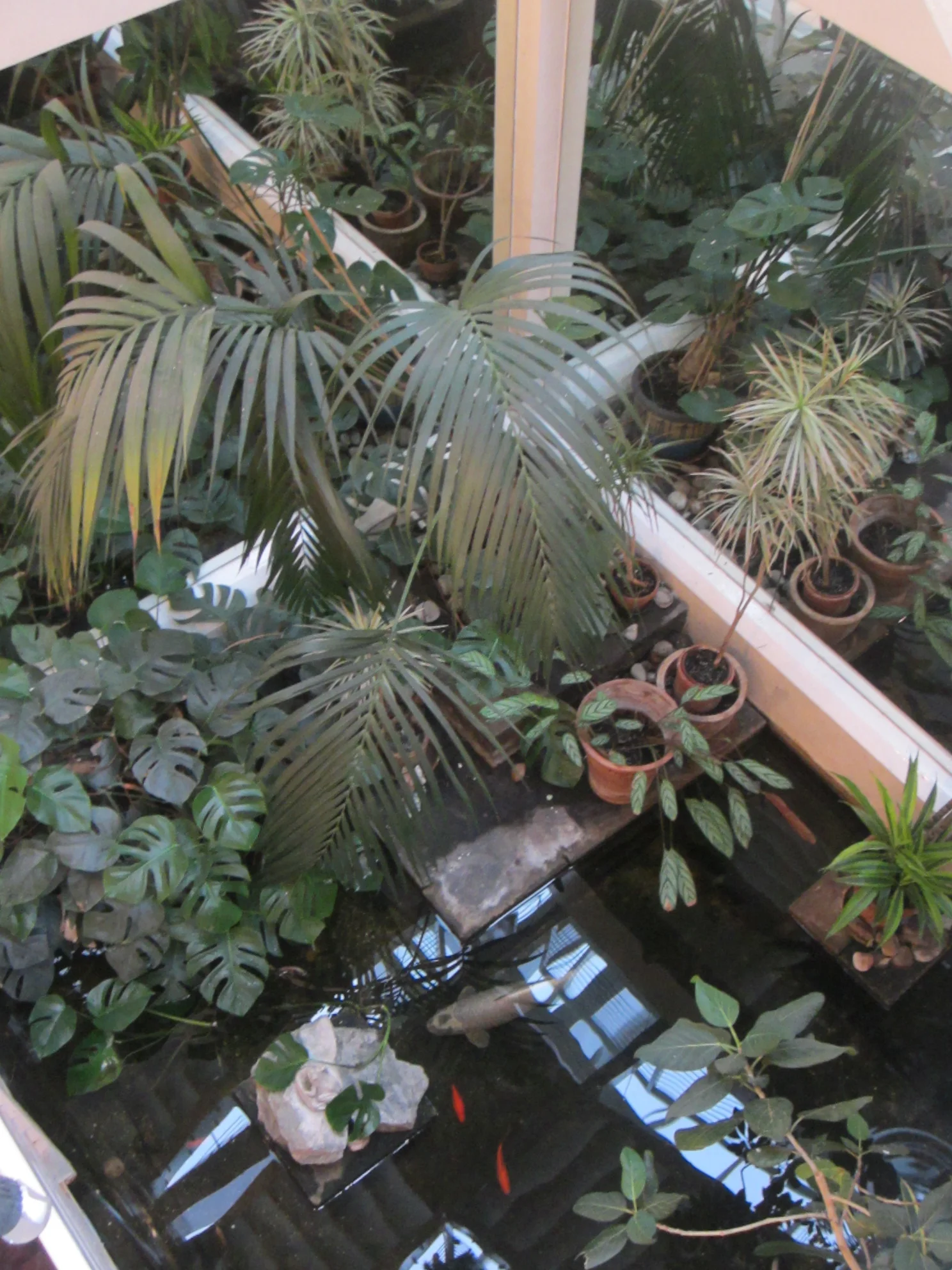 mirrortricksskcirtrorrim