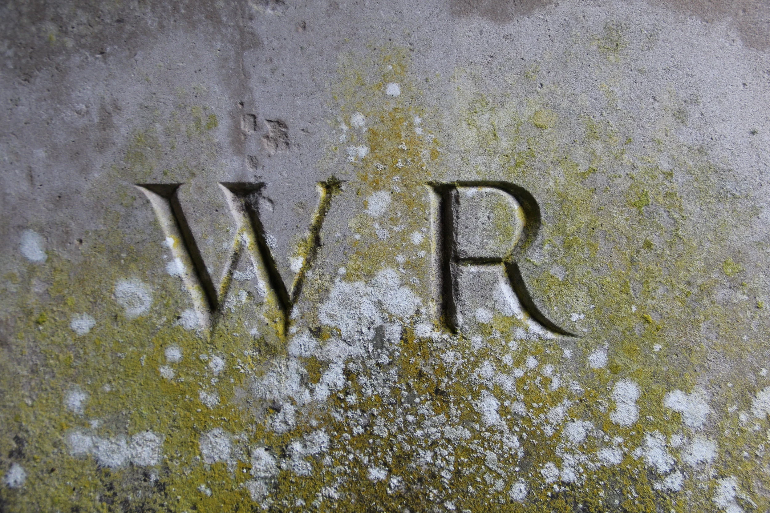 Thank you Mr. Robinson 