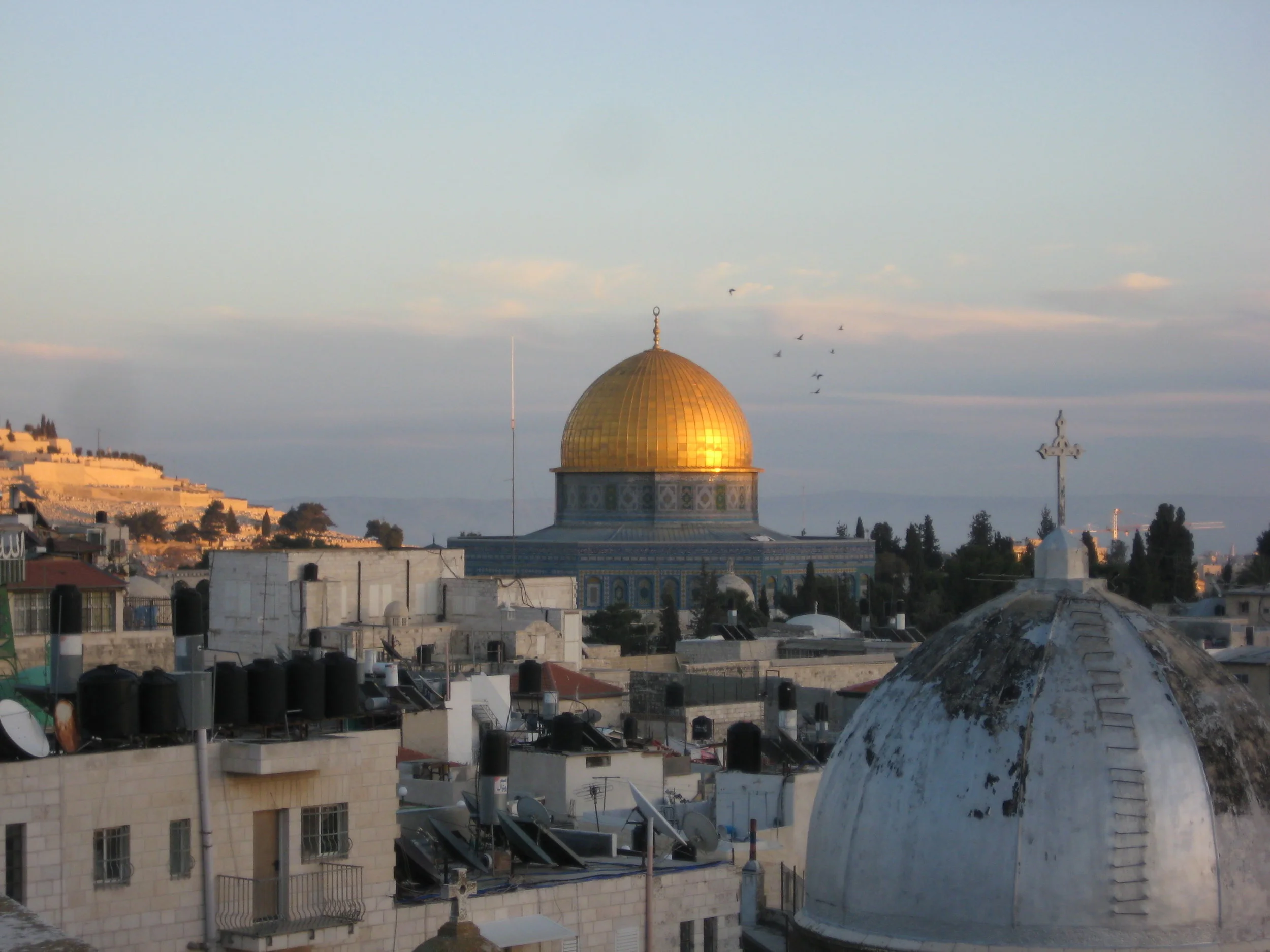 Jerusalem Botanical Gardens Scholarship