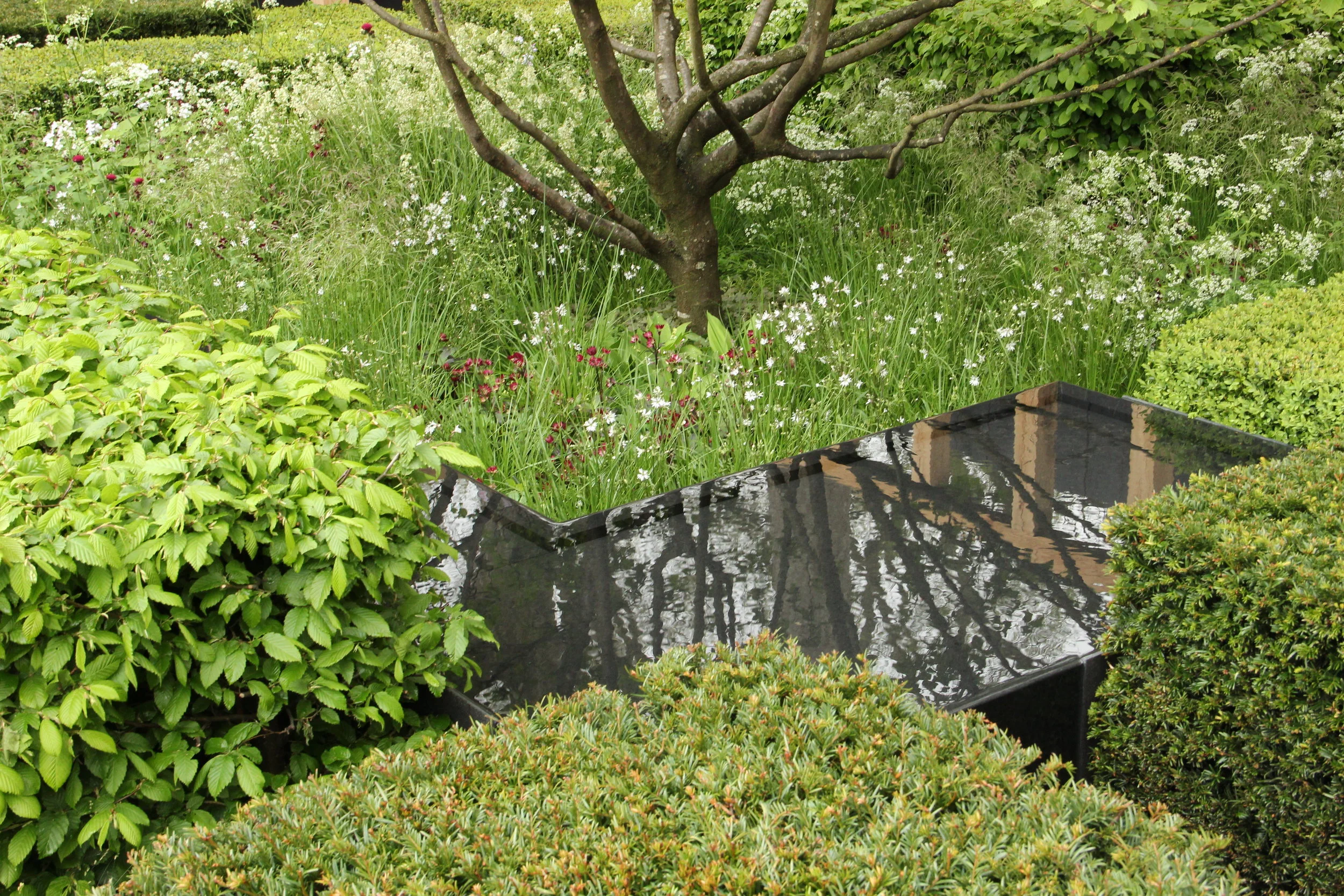 Chelsea Flower Show Exhibitions
