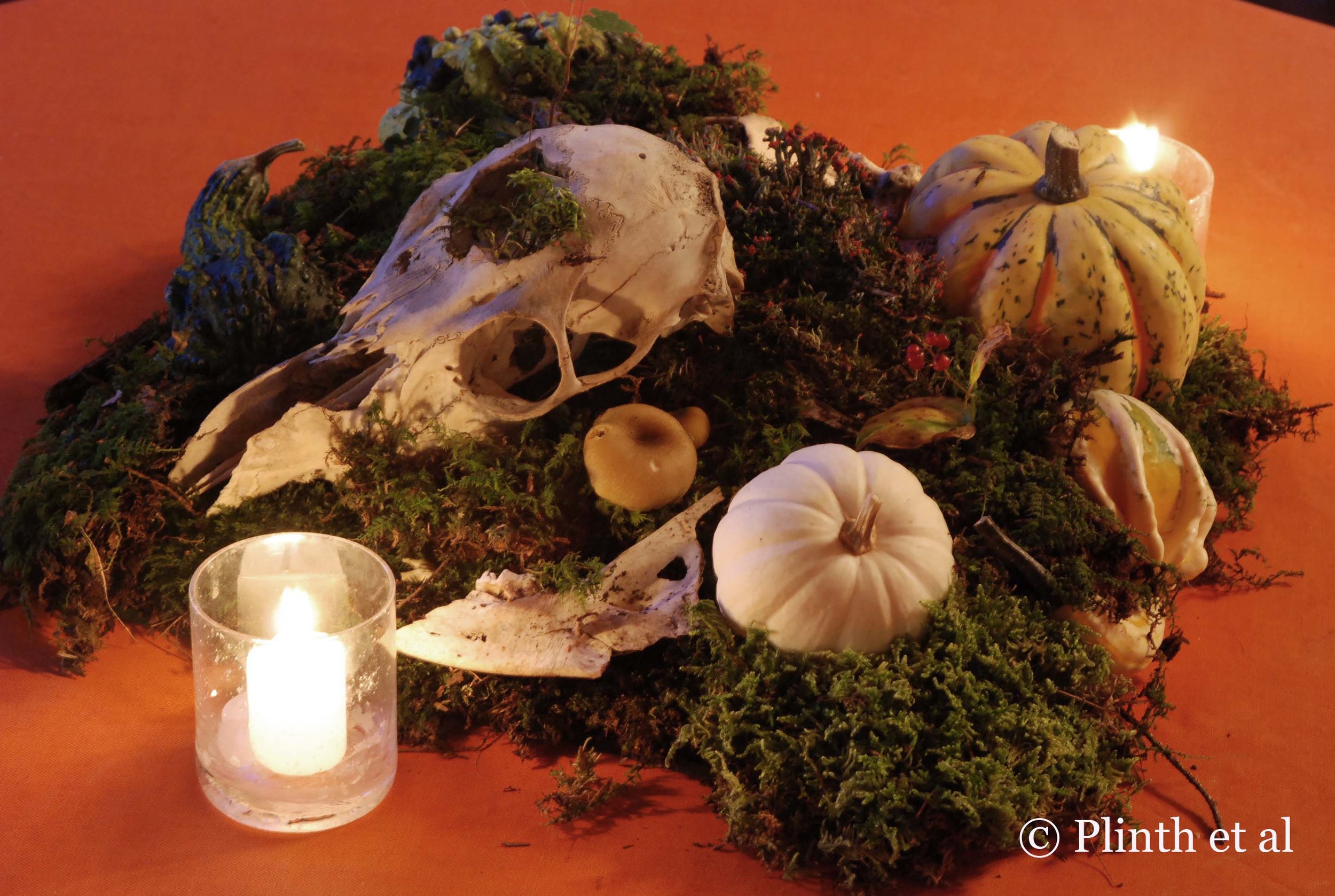 skull_tableau_lit_at_night.jpg
