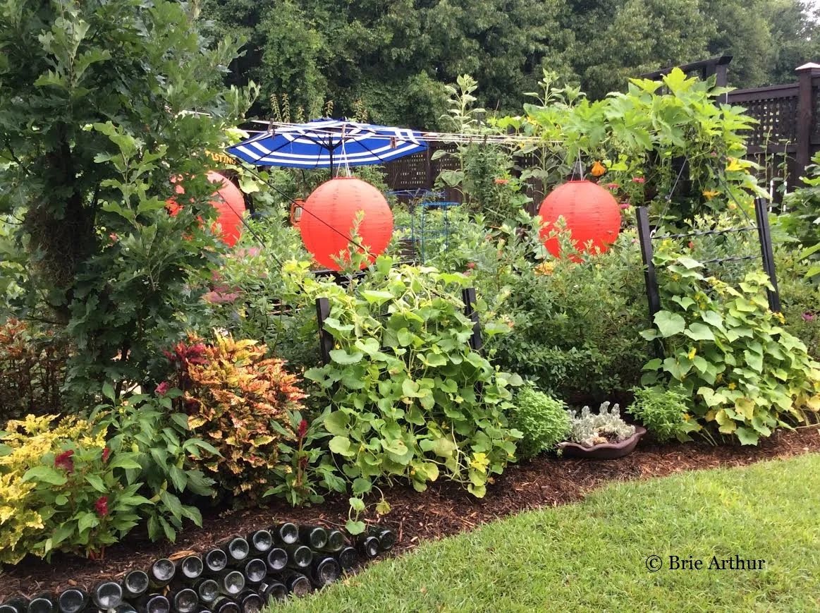 "The lesson I have thoroughly learnt...."