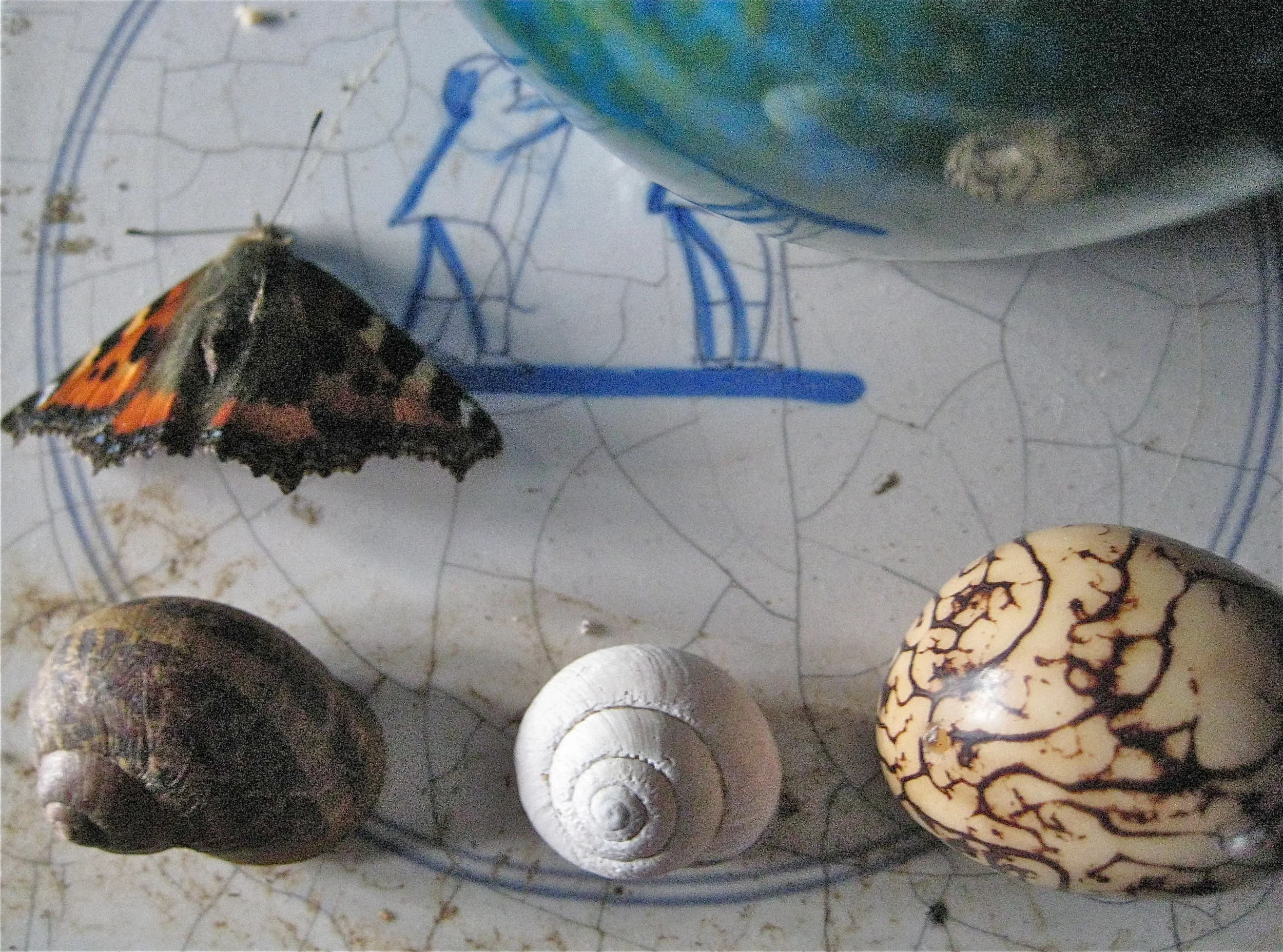 "Collecting seems..."