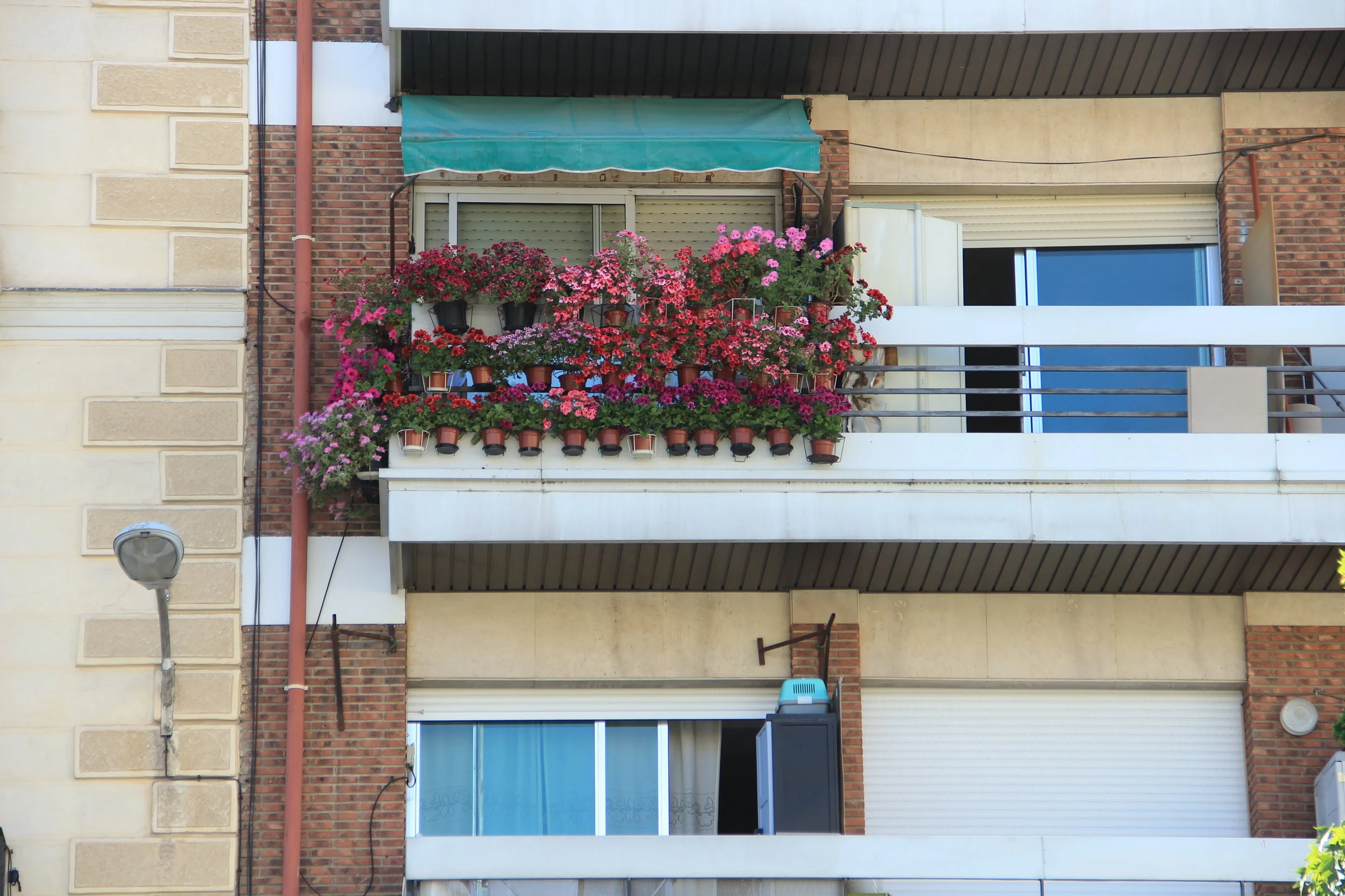 Tuesday's Terrace: Spain