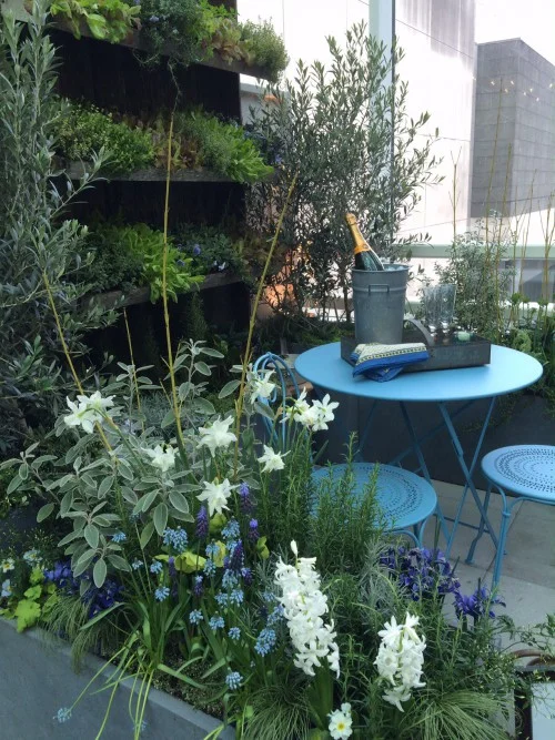 Tuesday's Terrace: Ravenna Gardens' City Living Garden Entry