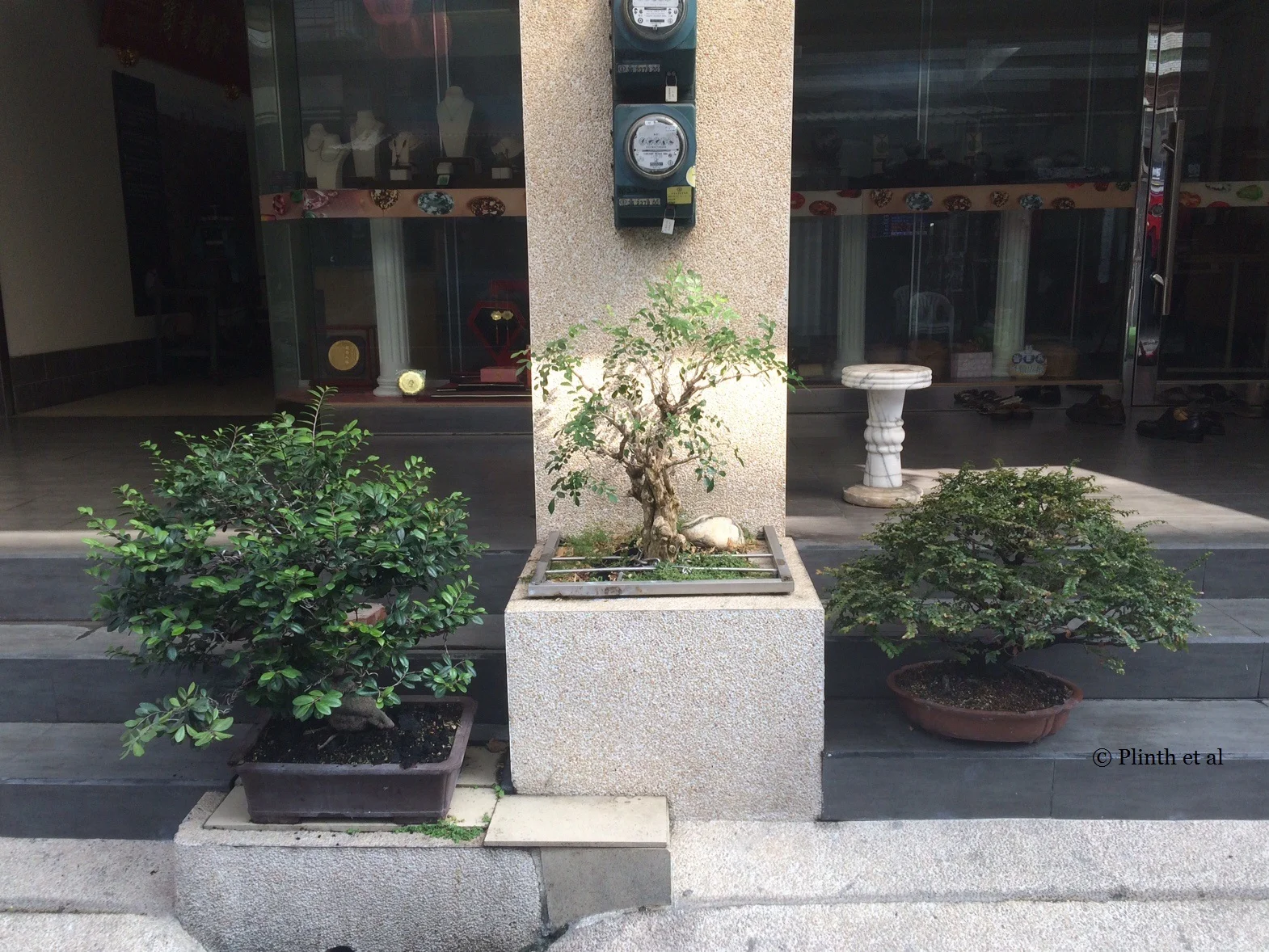 Terraces of Taiwan Part 2