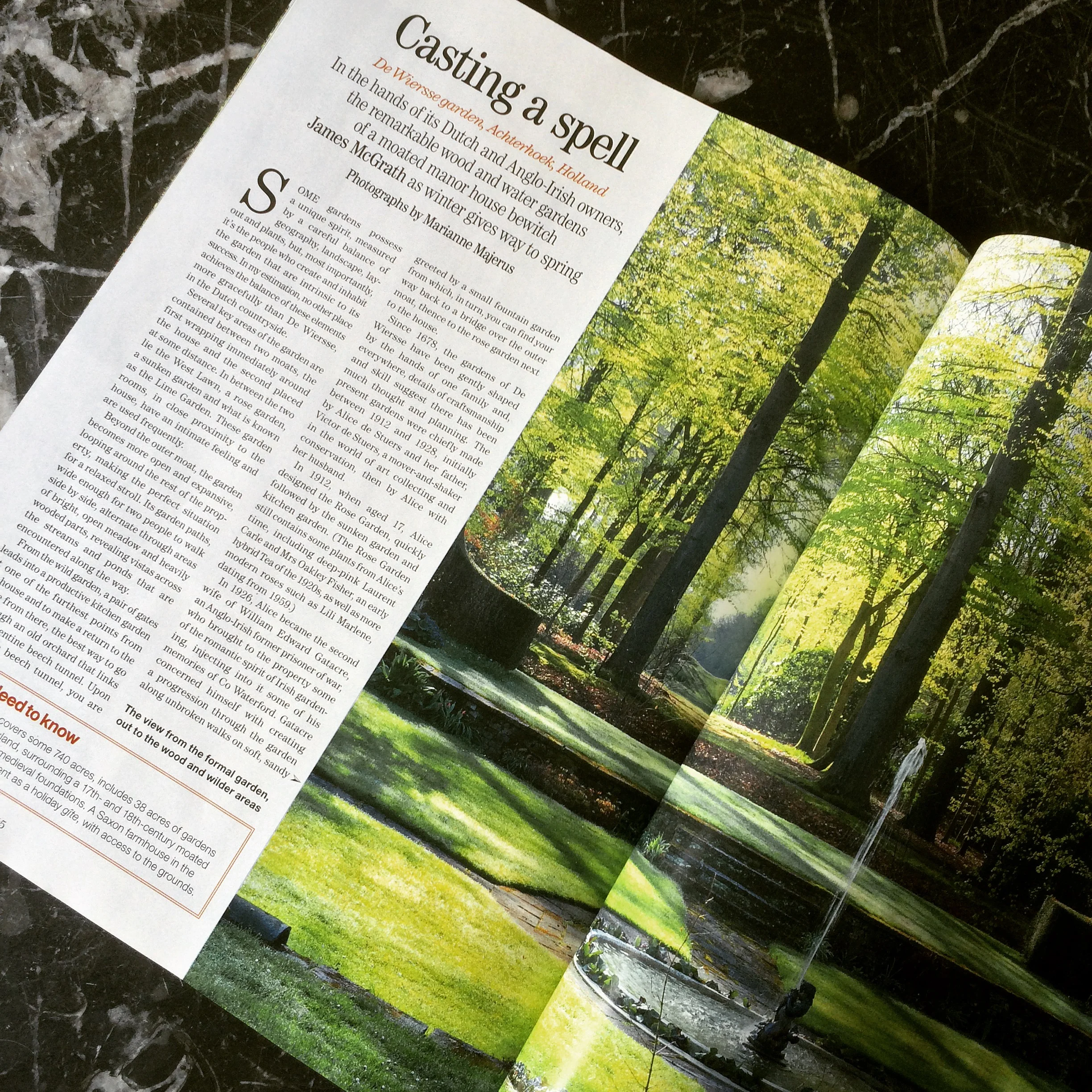 Sunday Clippings