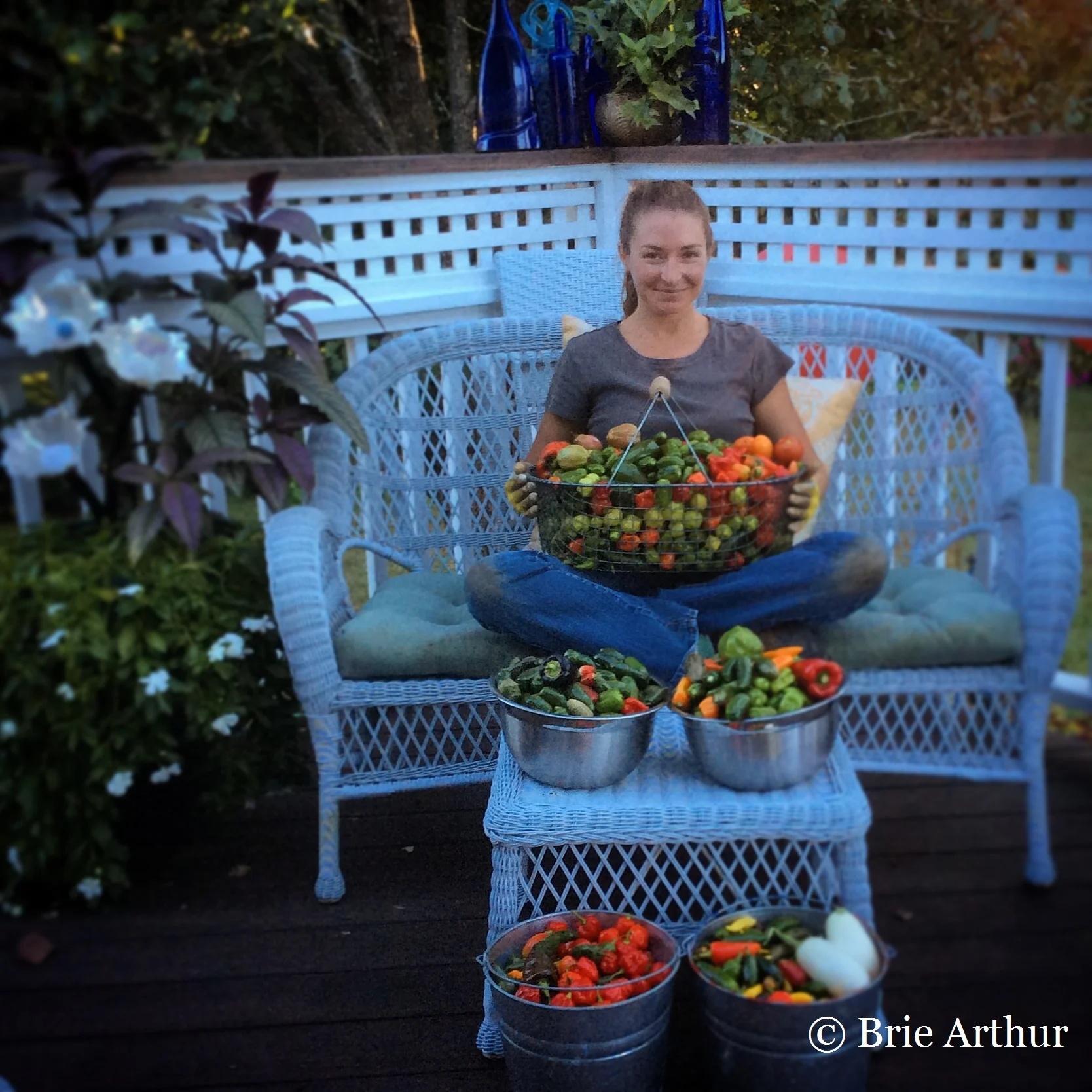 5-10-5: Brie Arthur, Horticulturist and Propagator
