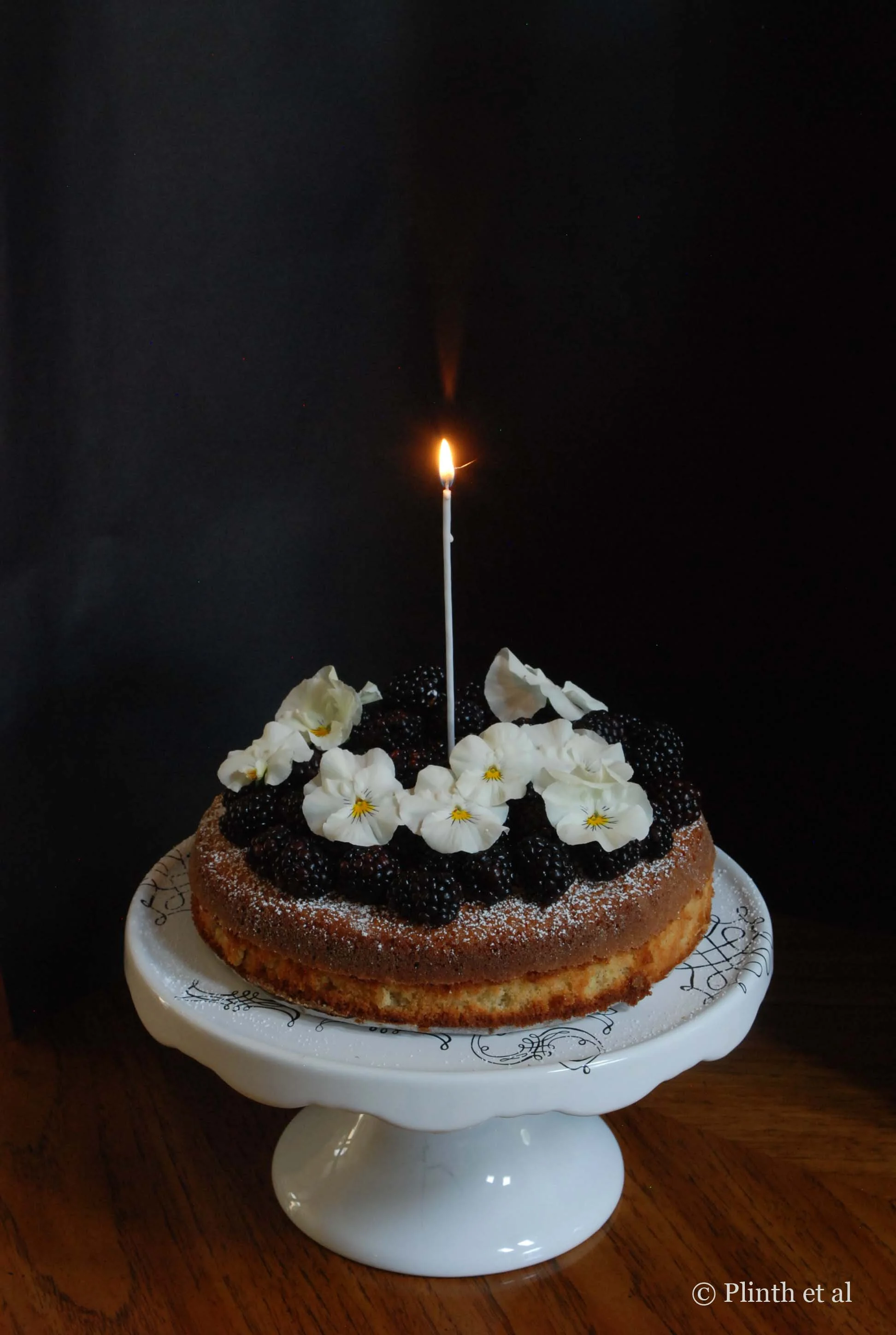 Happy 1st Anniversary for Plinth et al