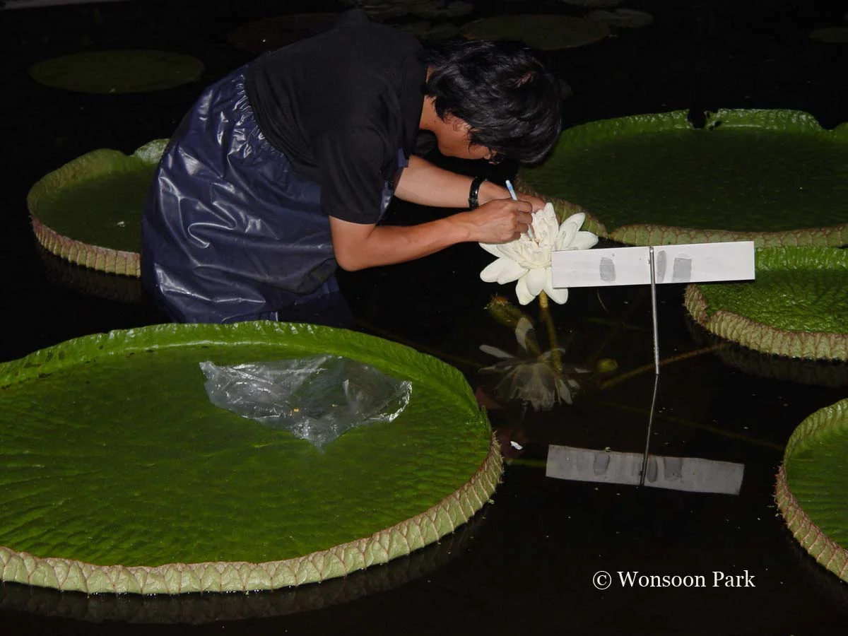 5-10-5: Horticulturist Wonsoon Park