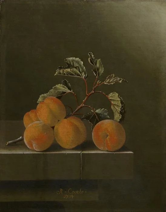 Summery Sunshine from a Fruit Tree: Apricots