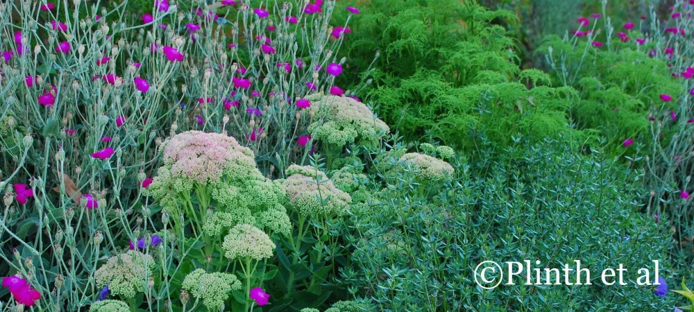 Anatomy of a Garden: Private Garden, Australia