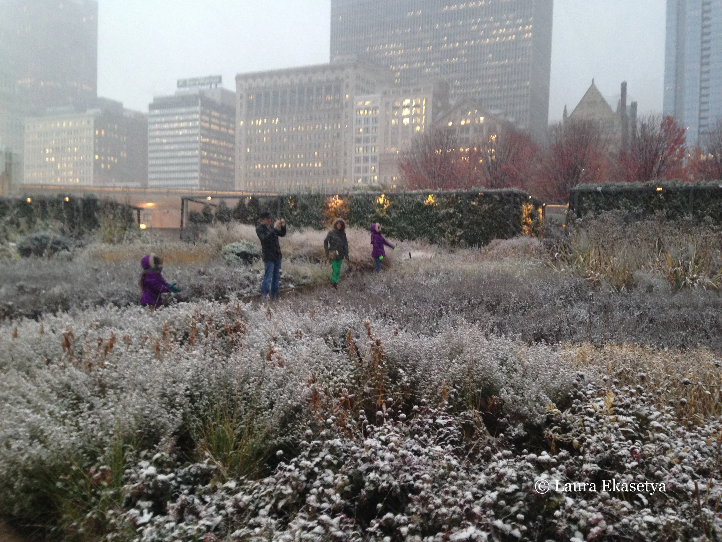 “...a garden is fundamentally a place for use..."