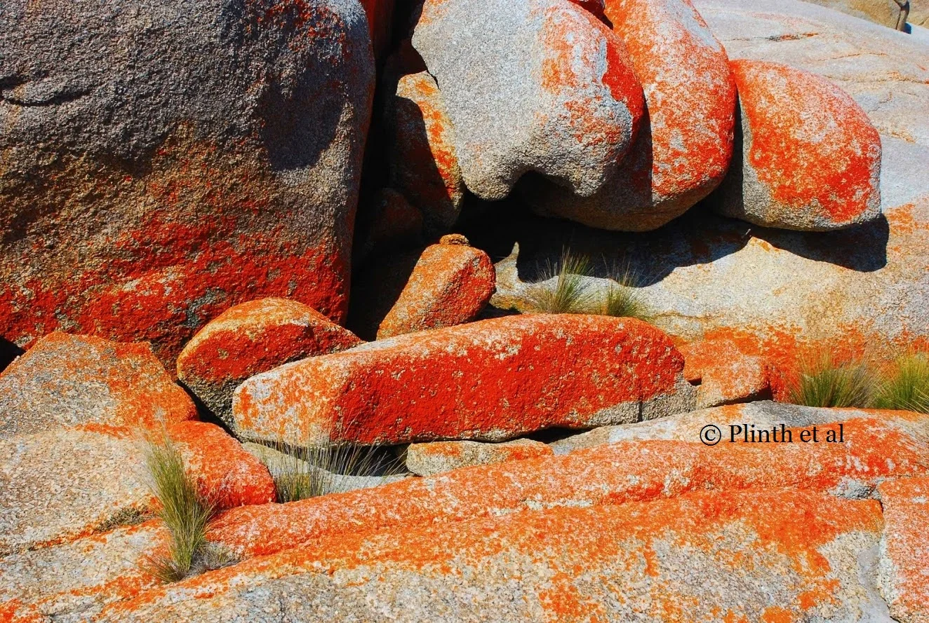 "Orange is red brought...."