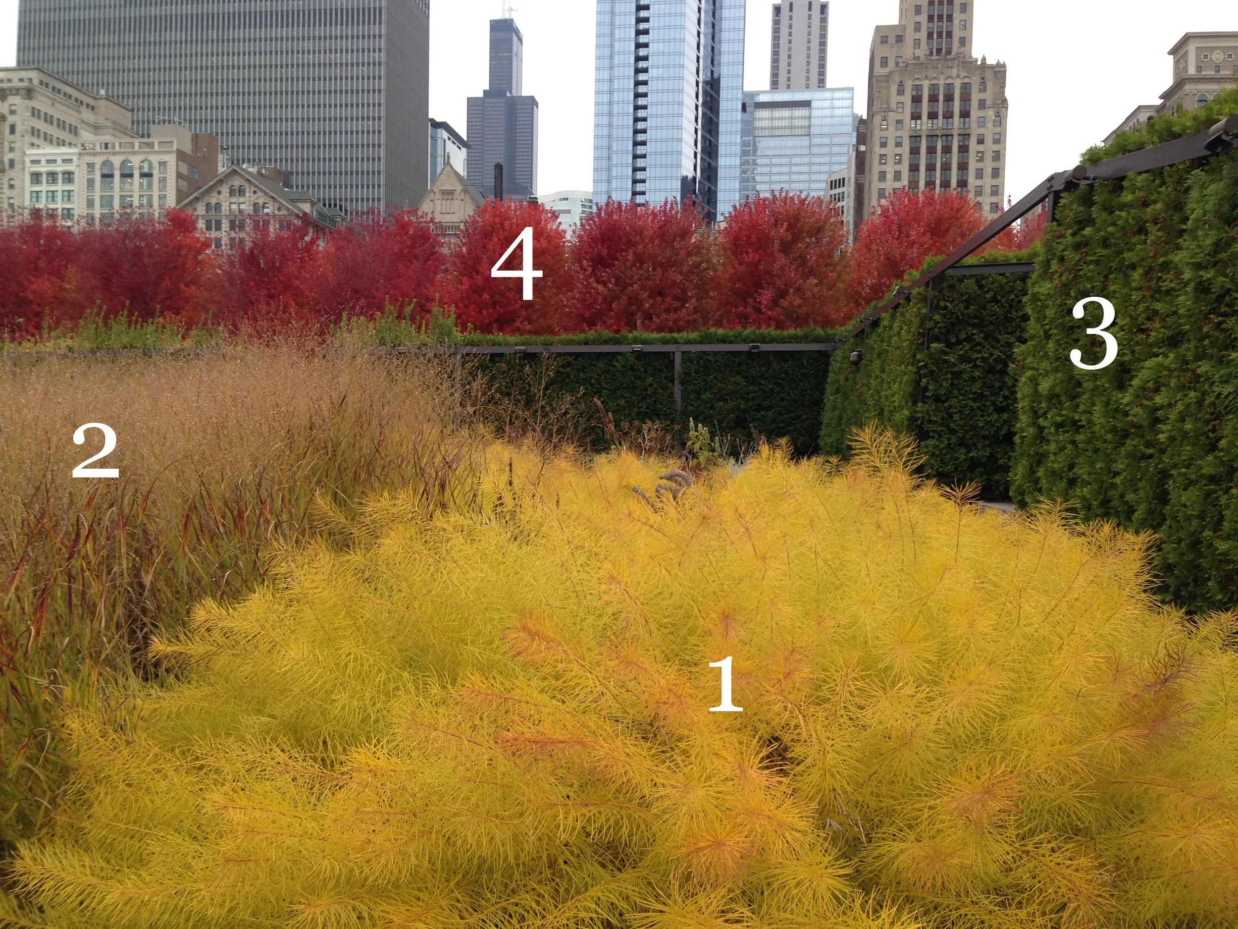 Anatomy of a Garden: Two Plantings at Lurie Garden