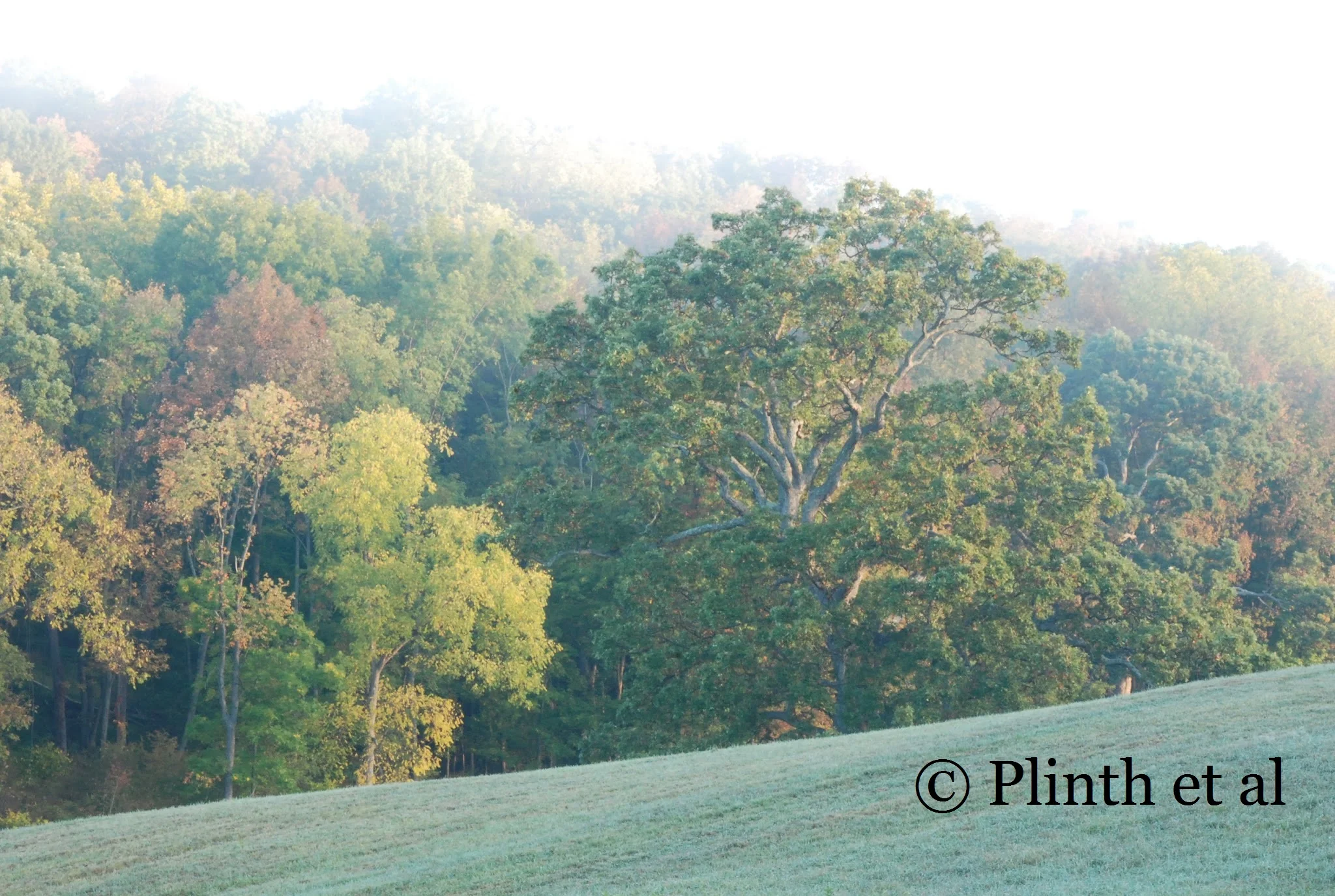 "But in other hours, Nature satisfies by its loveliness.."