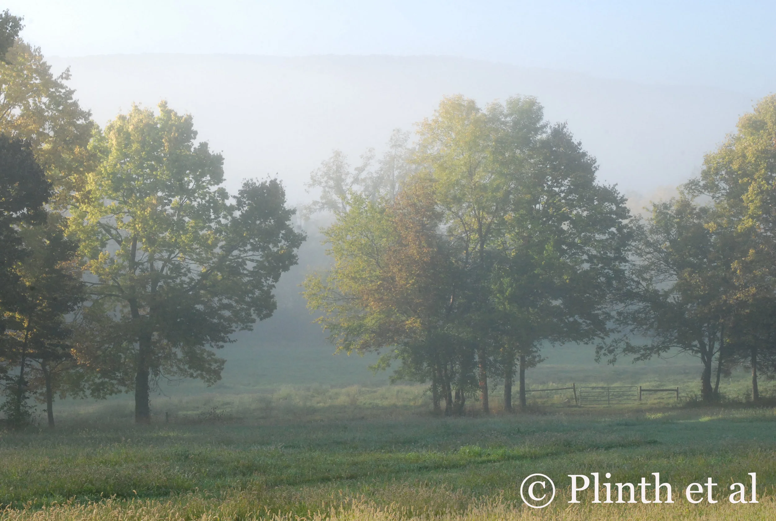 A Soliloquy to Nature