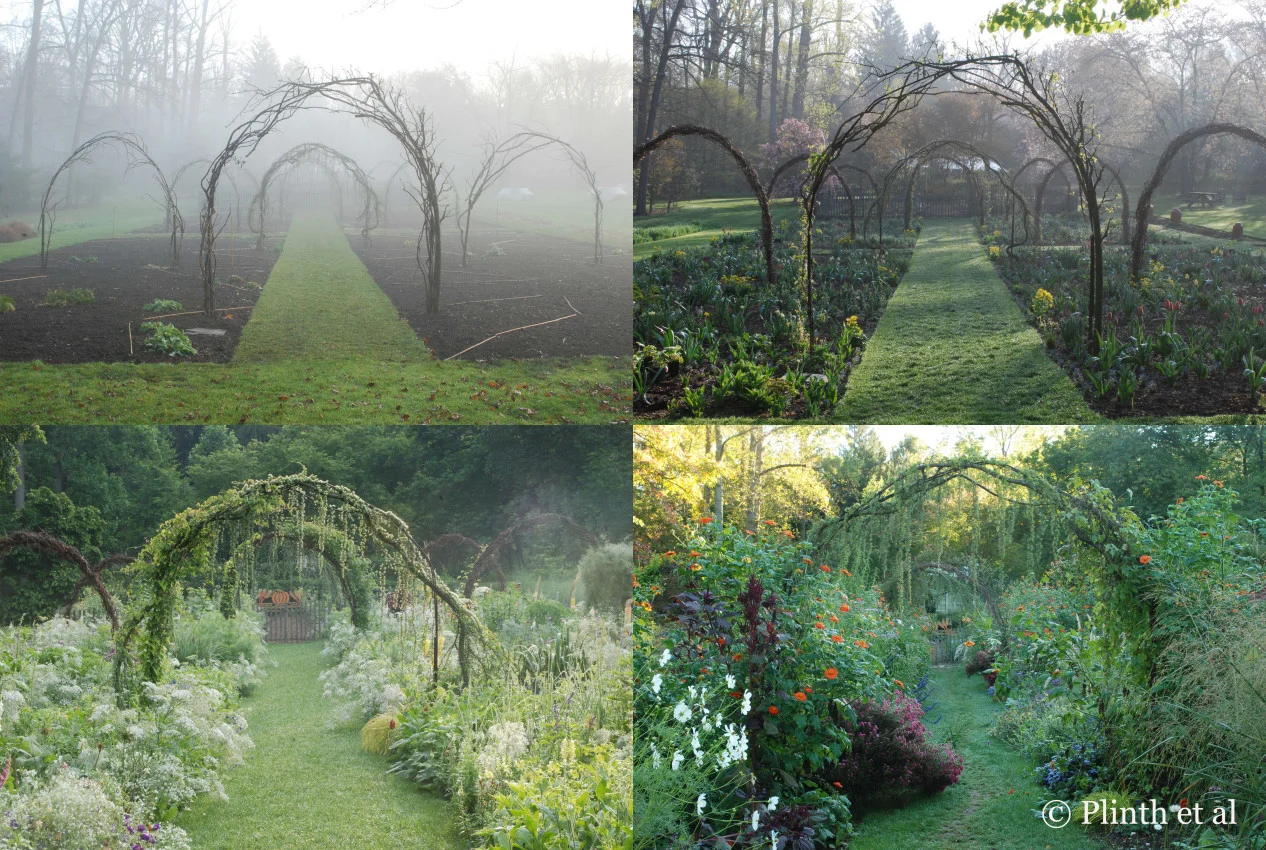 Using grapevine boughs from her father's property, Emma painstakingly wove them over the arches after removing the remnant old branches and wire. A constant in the Cut Flower Garden, the arches are structurally significant, giving height when the beds are bare in winter and early spring. Cloaked in vines and engulfed by the riot of vegetation, they become less visible later in the season.