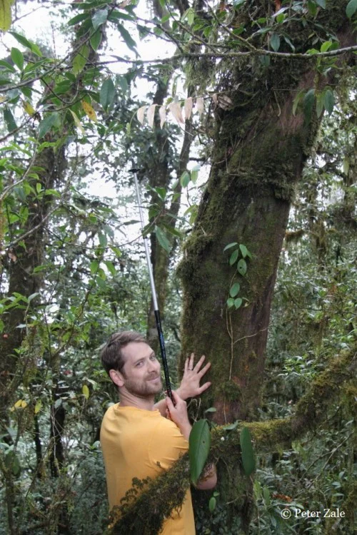 5-10-5: Peter Zale, Curator of Plants and Plant Breeder at Longwood Gardens