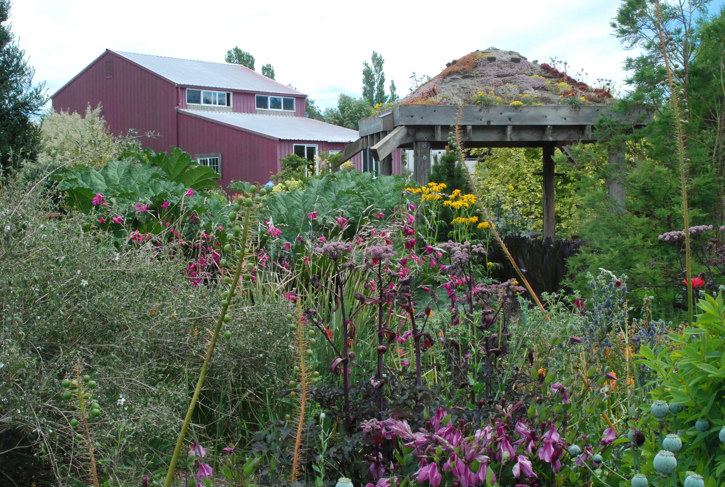 Specialty Nursery Profile: Far Reaches Farm, Port Townsend, Washington State