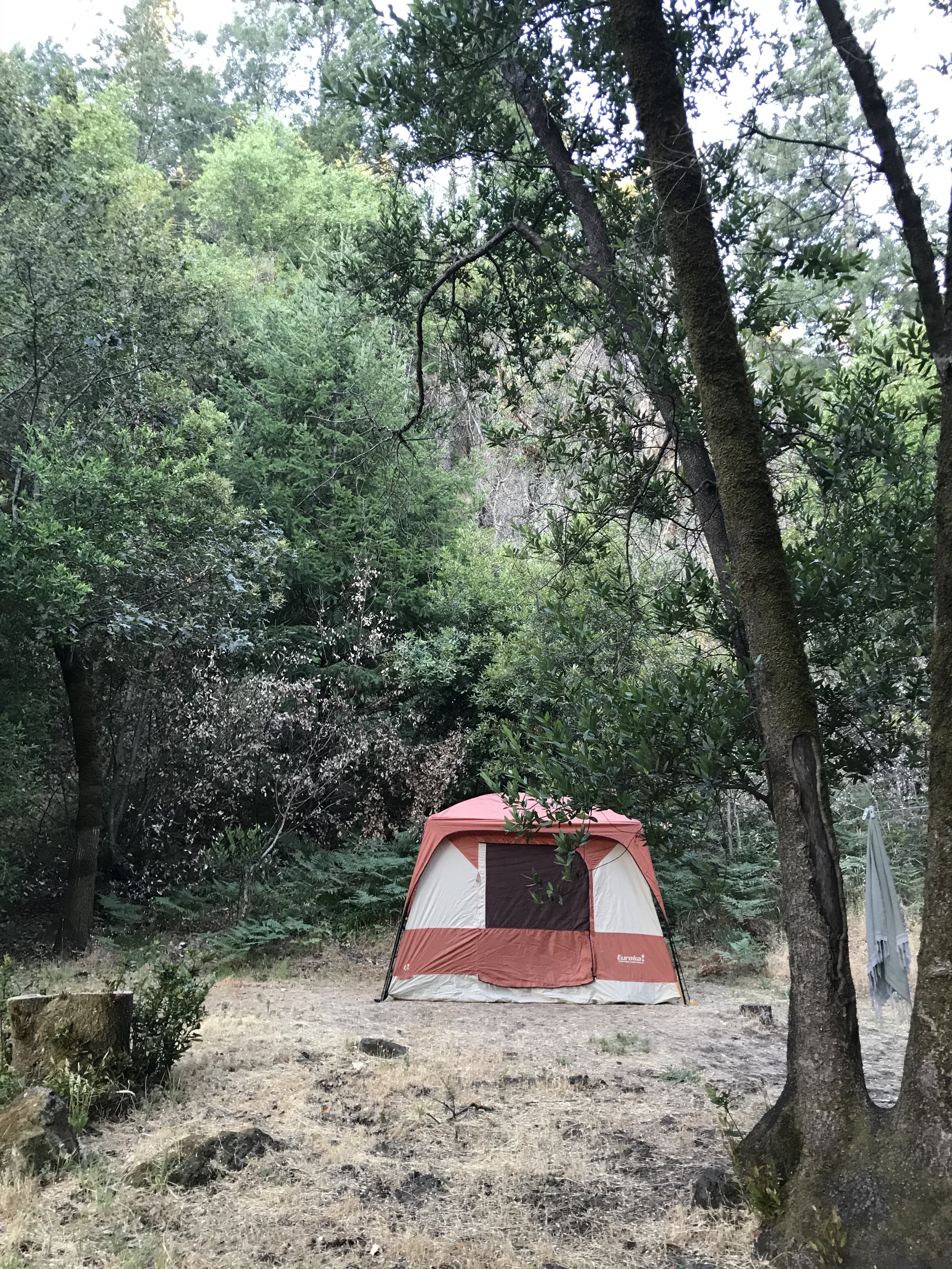 tent at campsite.jpg