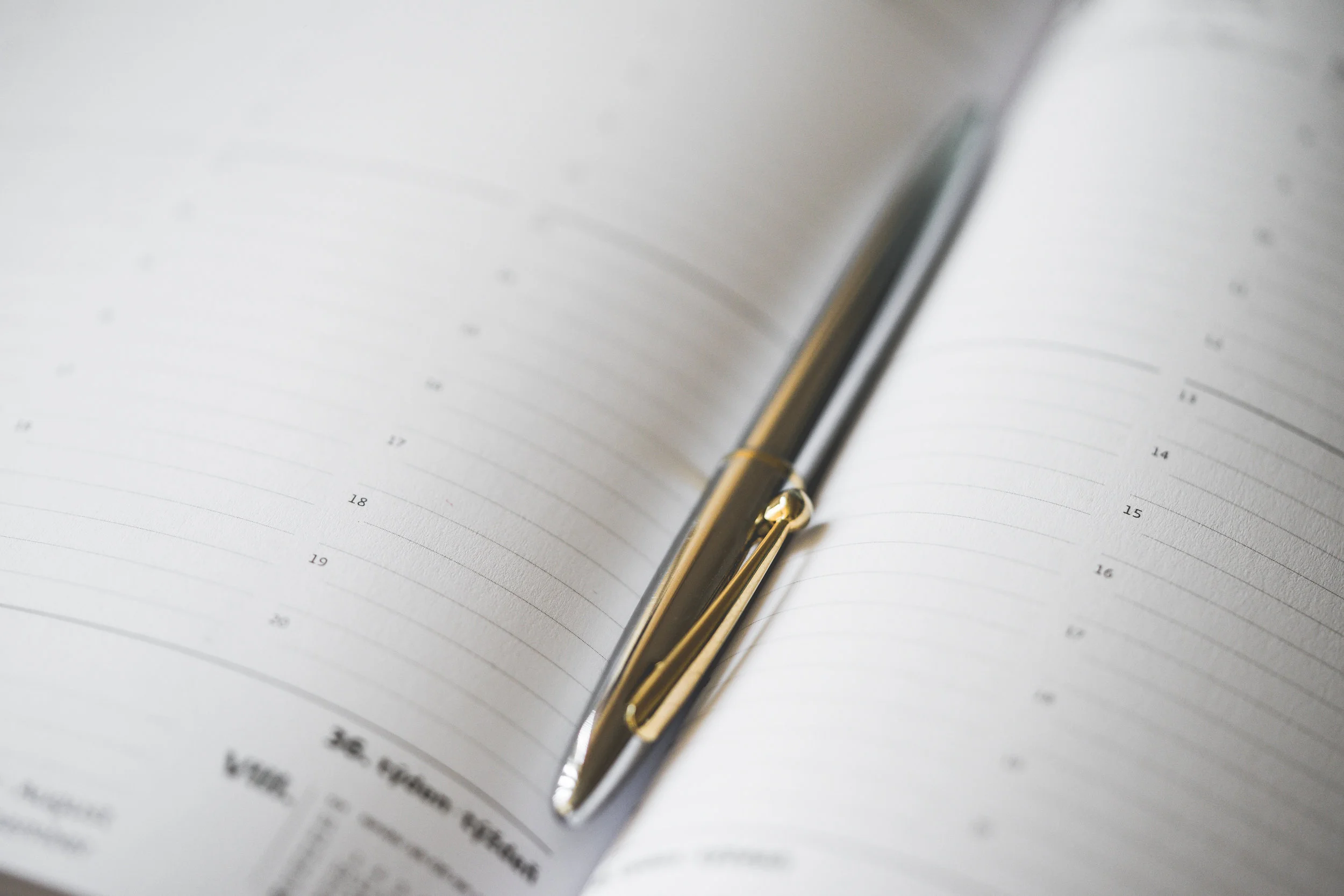 silver-pen-in-open-business-day-planner-diary-picjumbo-com.jpg