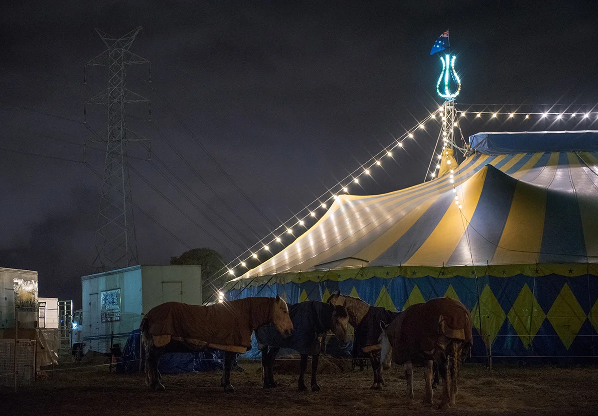Circus Comes To Reservoir - Homage.jpg