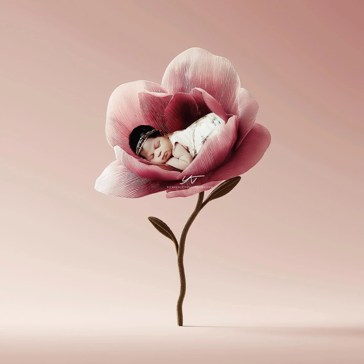 Love planted a rose, and the world turned sweet. ❤️❤️❤️#newborn #newbornphotography #fineartnewbornphotography