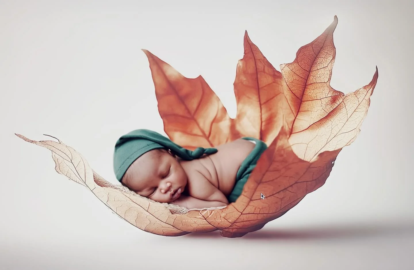 This autumn leaf is the greatest fall🍁 treat. Relaunching and will provide in-home newborn session soon. #newborn #newbornphotography #baby #babyboy #fineartnewbornphotography