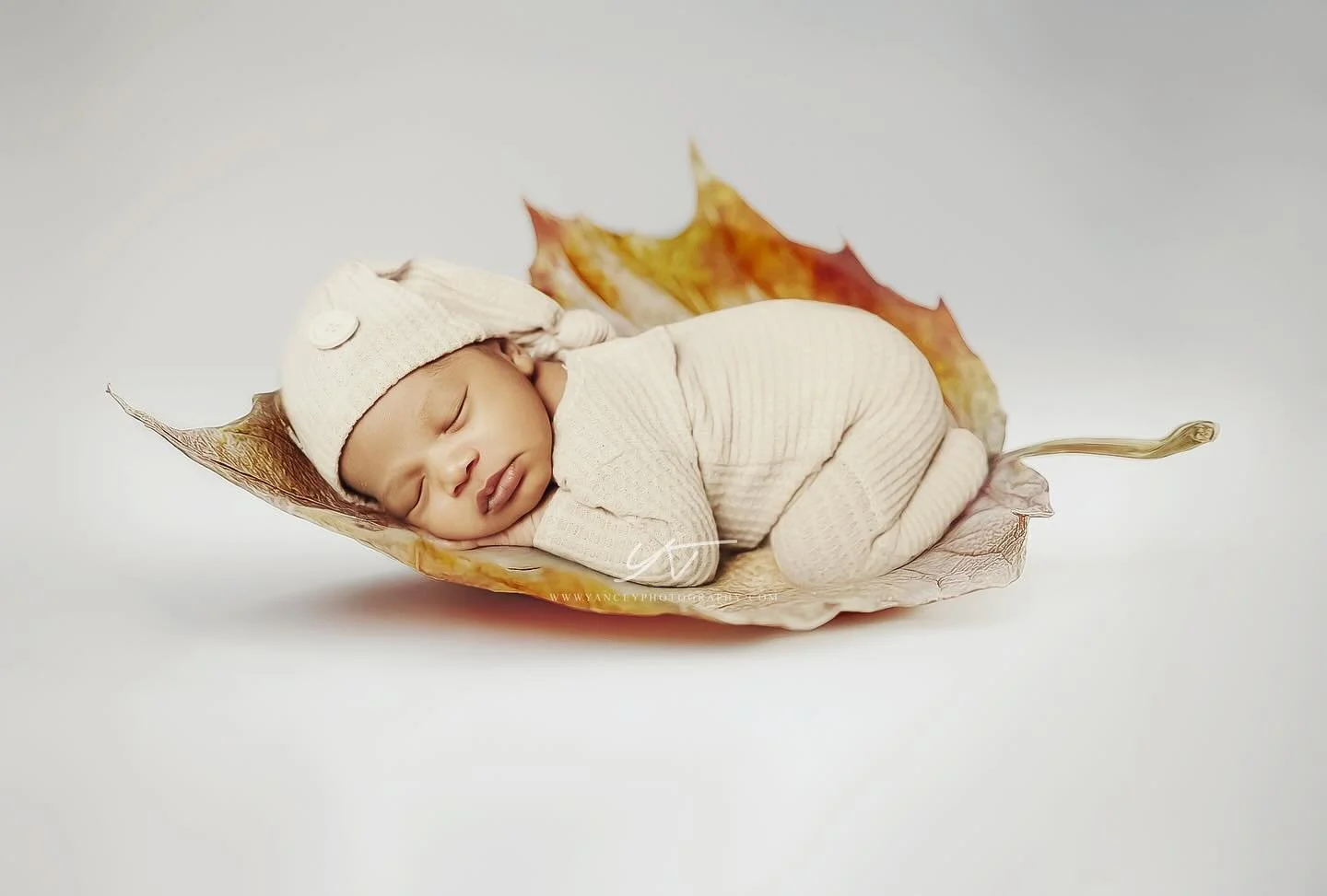Autumn us a second Spring when every leaf 🍂 is a flower. #fineartnewbornphotography #fineartnewbornphotography #newborn #newbornphotography #newbornphotographer