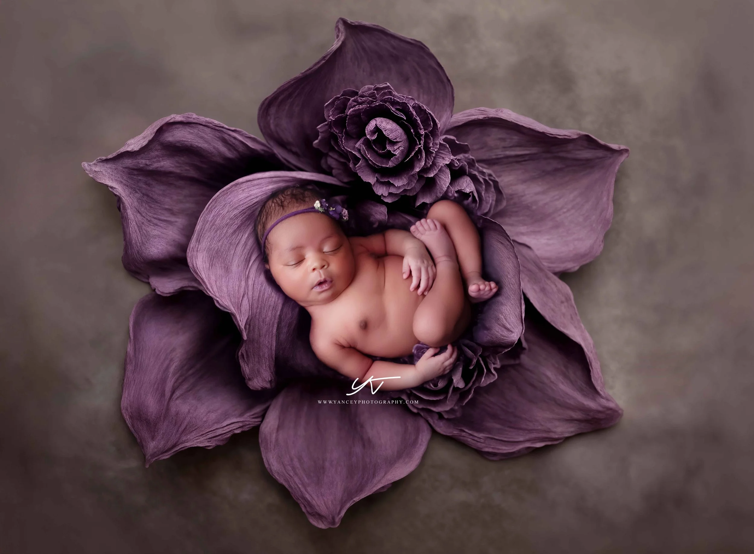 Book your in-home newborn portrait session.