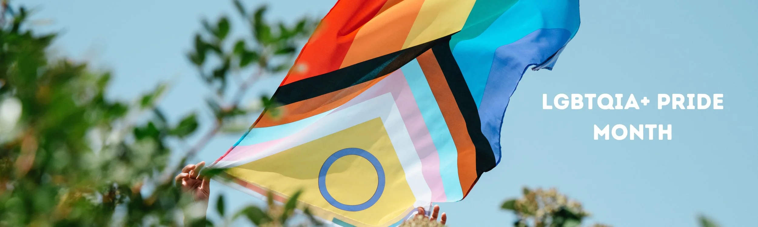 Pride Month Banner (2).jpg