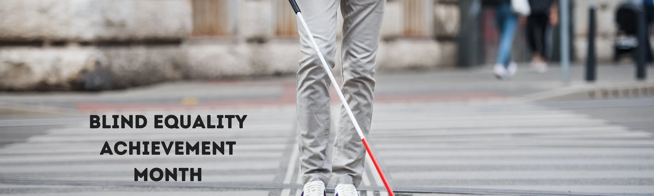 Blind Equality Achievement Month Banner.jpg
