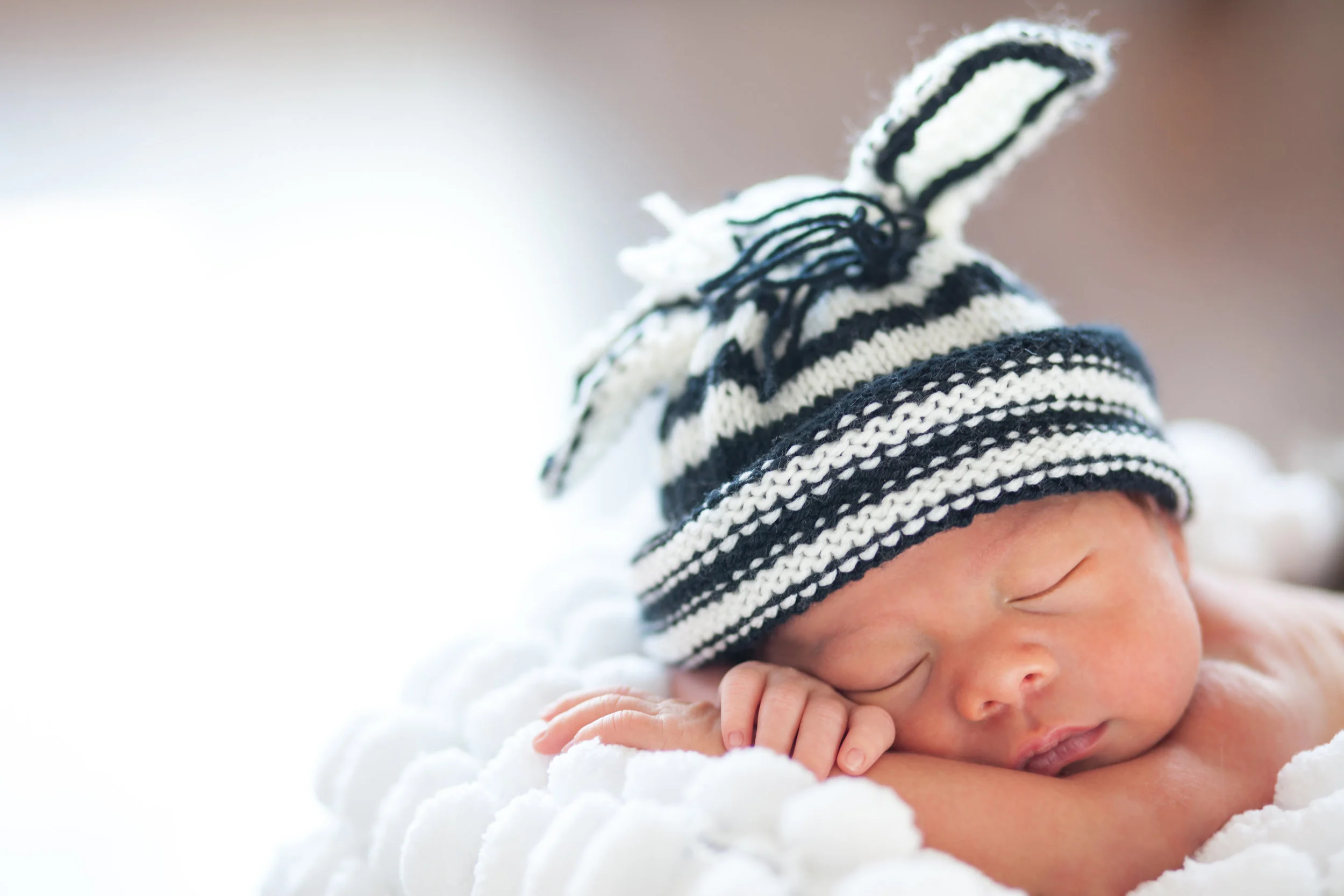 North Austin Newborn Photographer