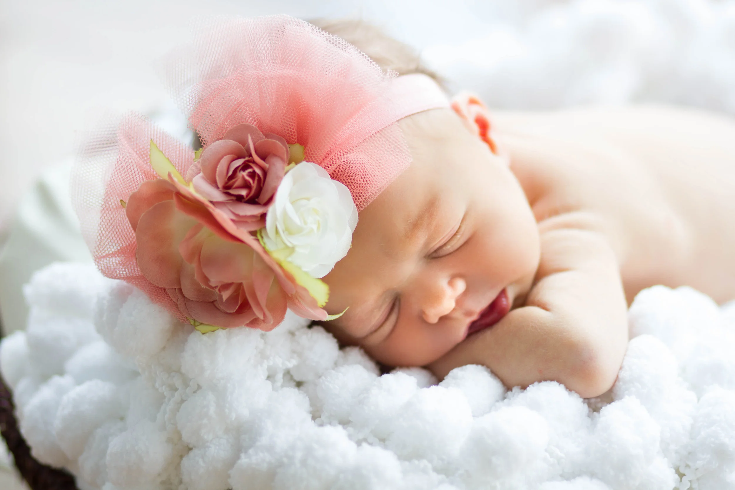 newborn photographer