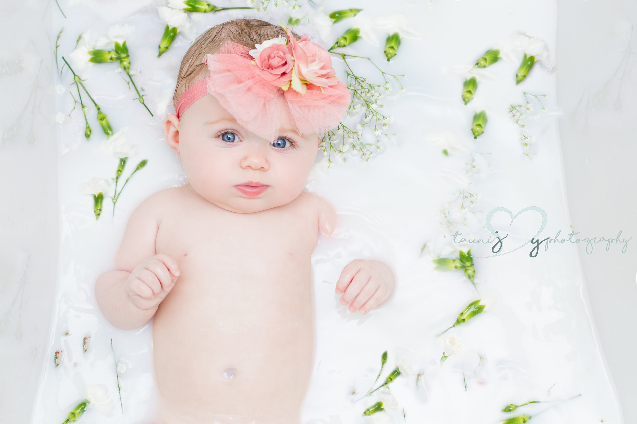 blog — Tauni Joy Photography family , newborn and wedding photographer